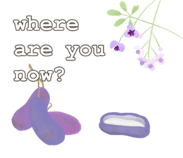 Flowers & Fruits sticker #13858482