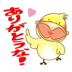 P-chan of Cockatiel