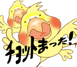 P-chan of Cockatiel sticker #13858968