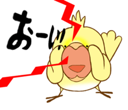 P-chan of Cockatiel sticker #13858969