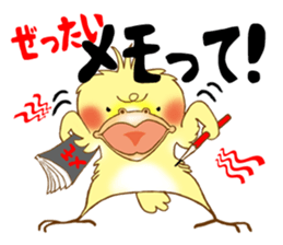 P-chan of Cockatiel sticker #13858970