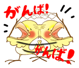 P-chan of Cockatiel sticker #13858973