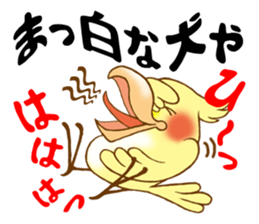 P-chan of Cockatiel sticker #13858975