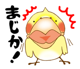 P-chan of Cockatiel sticker #13858976