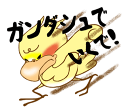 P-chan of Cockatiel sticker #13858978