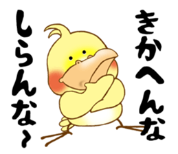 P-chan of Cockatiel sticker #13858979
