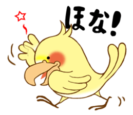 P-chan of Cockatiel sticker #13858988