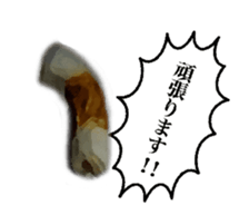 Fine kind of fish sausage 2 sticker #13859616