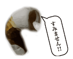 Fine kind of fish sausage 2 sticker #13859629