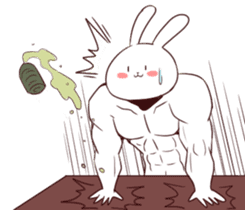 Muscle Animal (Rabbit) sticker #13861088