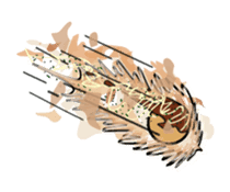 KEROKE san & HIGE CELEB 04 sticker #13861900