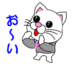 A white cat which is a JK sticker #13862025