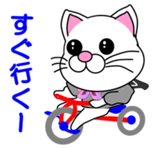 A white cat which is a JK sticker #13862034