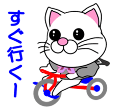 A white cat which is a JK sticker #13862034