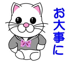 A white cat which is a JK sticker #13862053