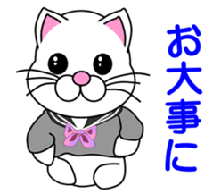 A white cat which is a JK sticker #13862053