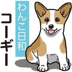 Wanko-Biyori Corgi