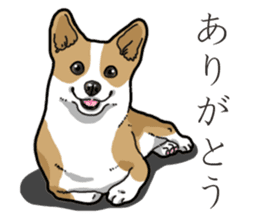 Wanko-Biyori Corgi sticker #13862271