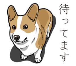 Wanko-Biyori Corgi sticker #13862273
