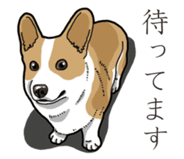 Wanko-Biyori Corgi sticker #13862273