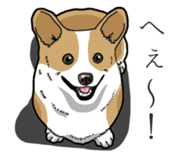 Wanko-Biyori Corgi sticker #13862274