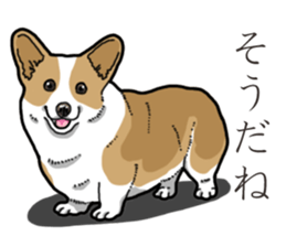 Wanko-Biyori Corgi sticker #13862275