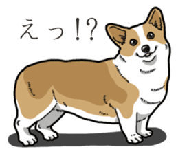 Wanko-Biyori Corgi sticker #13862276
