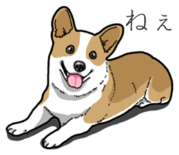 Wanko-Biyori Corgi sticker #13862277