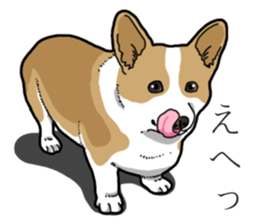 Wanko-Biyori Corgi sticker #13862278
