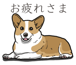 Wanko-Biyori Corgi sticker #13862279