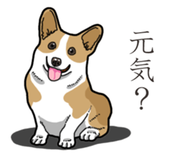 Wanko-Biyori Corgi sticker #13862280