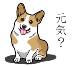 Wanko-Biyori Corgi sticker #13862280