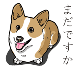 Wanko-Biyori Corgi sticker #13862282