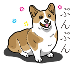 Wanko-Biyori Corgi sticker #13862283