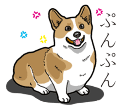 Wanko-Biyori Corgi sticker #13862283