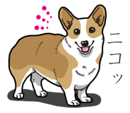 Wanko-Biyori Corgi sticker #13862284