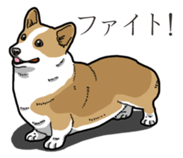 Wanko-Biyori Corgi sticker #13862285