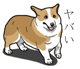 Wanko-Biyori Corgi sticker #13862286