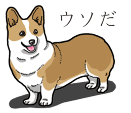 Wanko-Biyori Corgi sticker #13862287