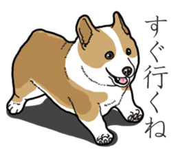 Wanko-Biyori Corgi sticker #13862289