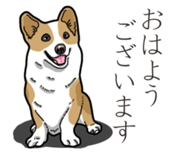 Wanko-Biyori Corgi sticker #13862290