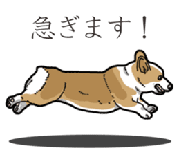 Wanko-Biyori Corgi sticker #13862291