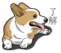 Wanko-Biyori Corgi sticker #13862292