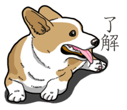 Wanko-Biyori Corgi sticker #13862292