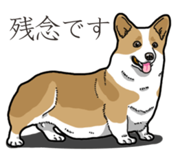 Wanko-Biyori Corgi sticker #13862293