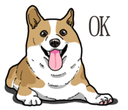 Wanko-Biyori Corgi sticker #13862295