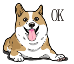 Wanko-Biyori Corgi sticker #13862295