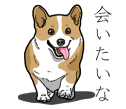 Wanko-Biyori Corgi sticker #13862296
