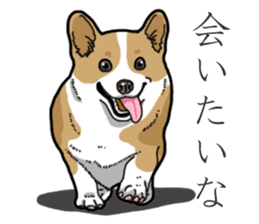 Wanko-Biyori Corgi sticker #13862296
