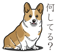 Wanko-Biyori Corgi sticker #13862300
